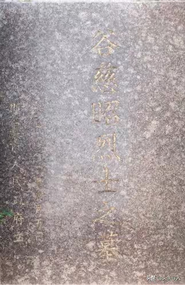 1178d5a5c9987410d812350436c195be.jpg