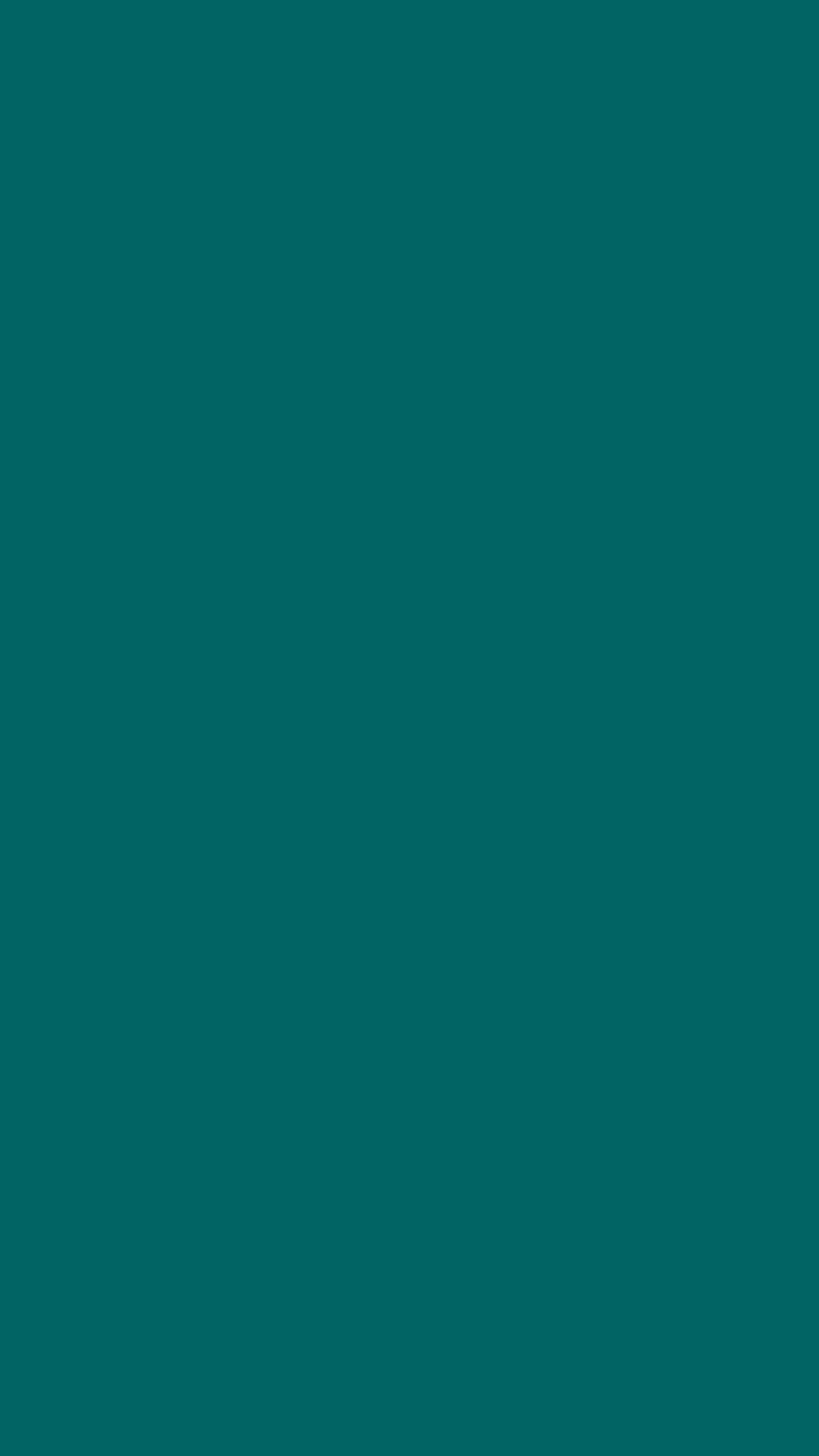 G100B100R1.png