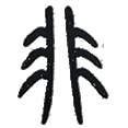11非.png