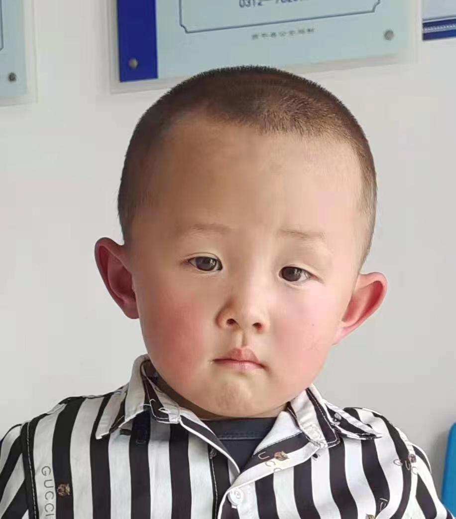 喀什市收留胡琪航找家2411181801.jpeg