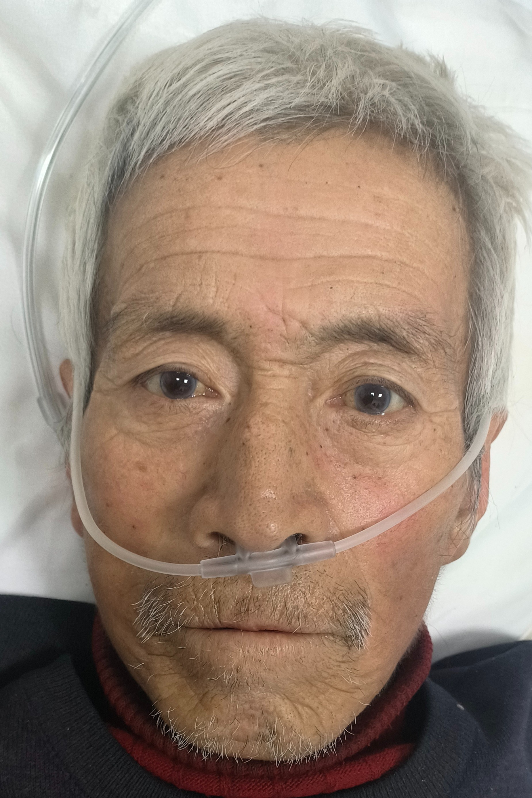 东宁市救助修志江找家27111302.jpeg